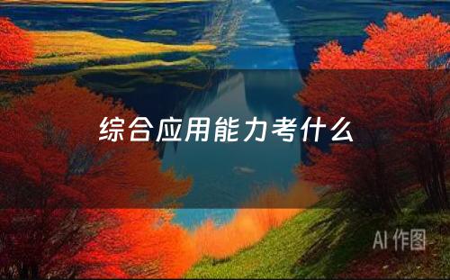 综合应用(yòng)能(néng)力考什么