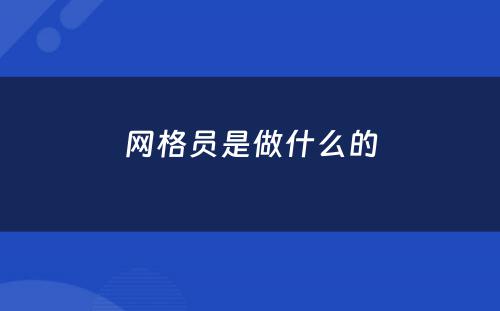 网格员是做什么的