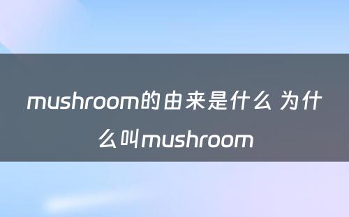 mushroom的由来是什么 為(wèi)什么叫mushroom