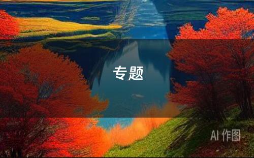 专题