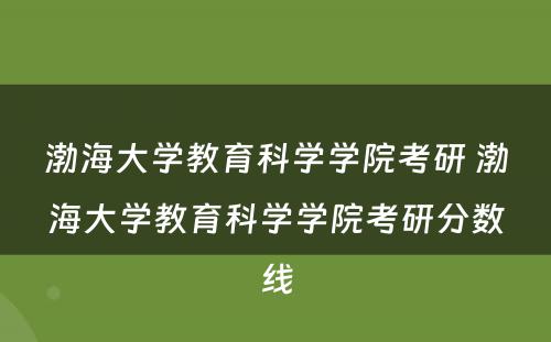 渤海大學(xué)教育科(kē)學(xué)學(xué)院考研 渤海大學(xué)教育科(kē)學(xué)學(xué)院考研分(fēn)数線(xiàn)