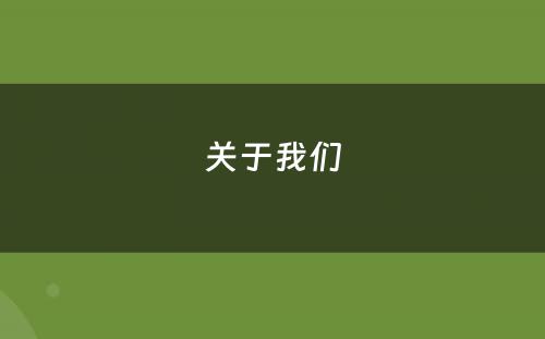 关于我们