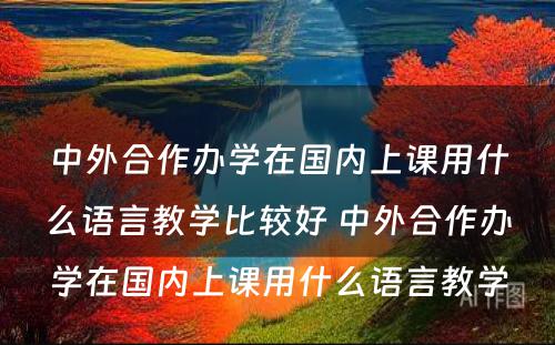 中外合作办學(xué)在國(guó)内上课用(yòng)什么语言教學(xué)比较好 中外合作办學(xué)在國(guó)内上课用(yòng)什么语言教學(xué)
