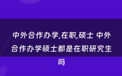 中外合作办學(xué),在职,硕士 中外合作办學(xué)硕士都是在职研究生吗