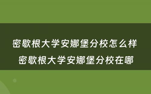 密歇根大學(xué)安娜堡分(fēn)校怎么样 密歇根大學(xué)安娜堡分(fēn)校在哪