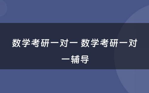 数學(xué)考研一对一 数學(xué)考研一对一辅导