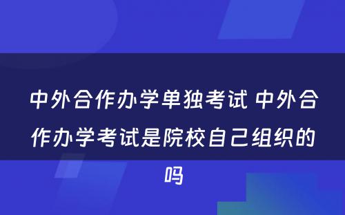 中外合作办學(xué)单独考试 中外合作办學(xué)考试是院校自己组织的吗