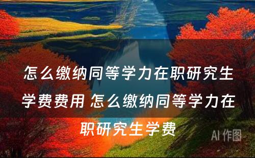 怎么缴纳同等學(xué)力在职研究生學(xué)费费用(yòng) 怎么缴纳同等學(xué)力在职研究生學(xué)费